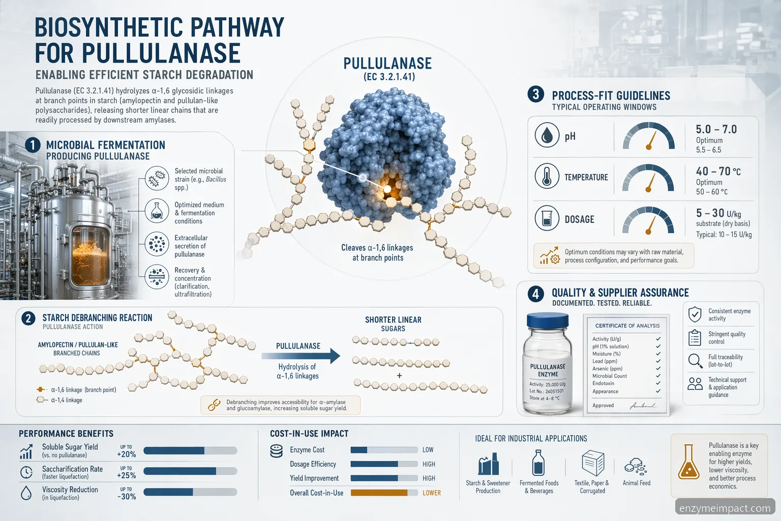 Percorso biosintetico per pullulanase e degradazione dell’amido, con icone di sourcing enzimi, compatibilità di processo, QC e costi