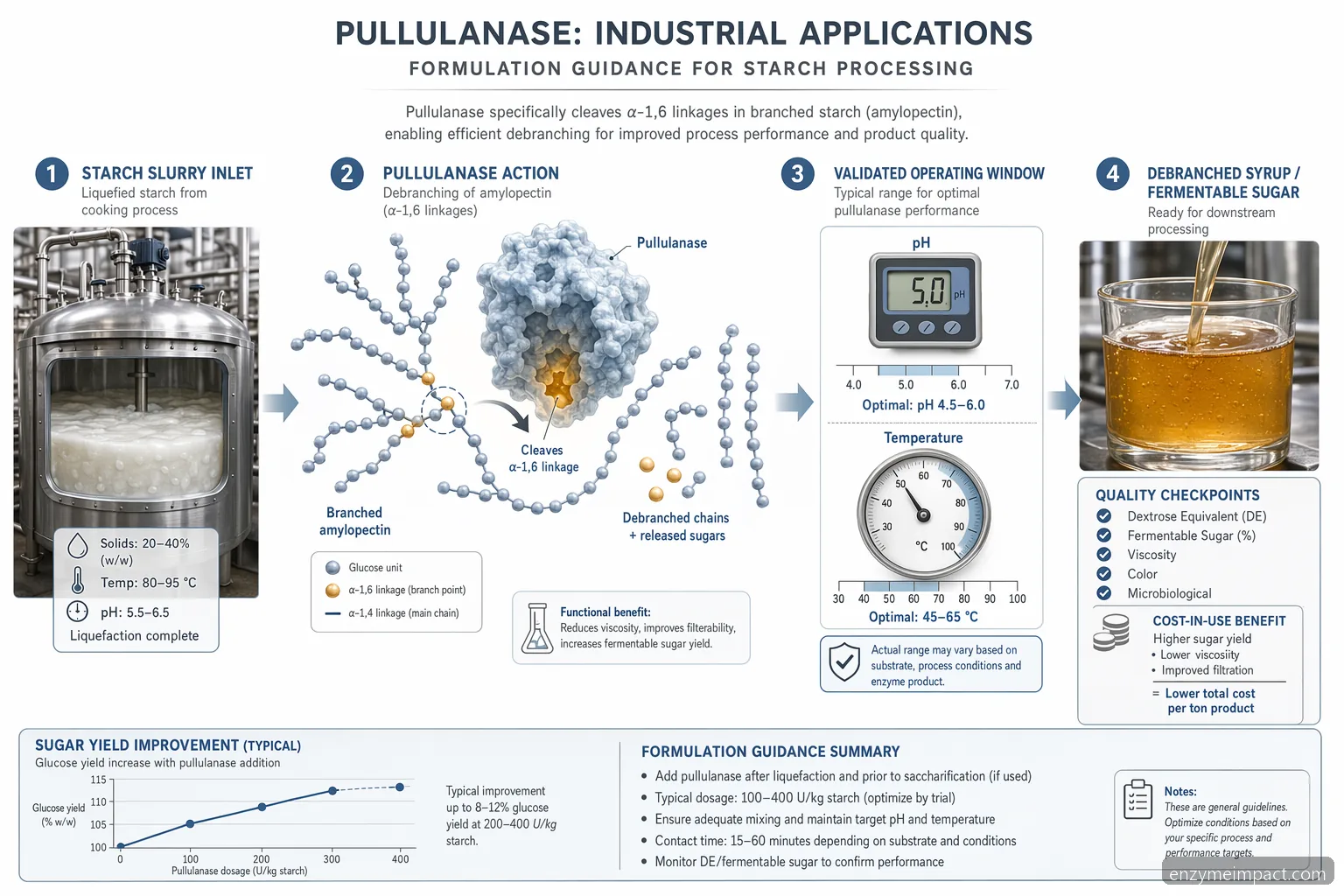 Индустриални приложения на pullulanase при обработка на нишесте, инфографика с дозиране, pH, температура и QC проверки